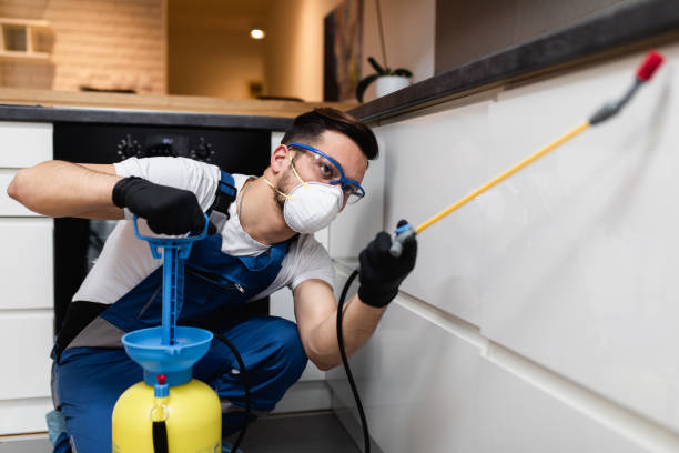  Allen Park, MI Pest Control Pros