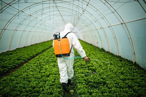 Best Pest Inspection Near Me  in Allen Park, MI