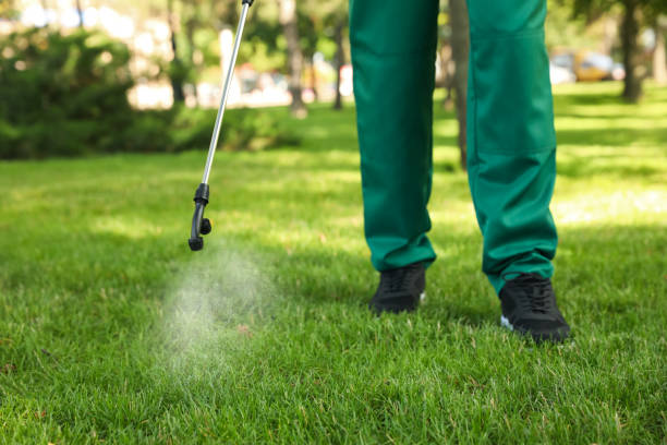 Best Exterminator Services  in Allen Park, MI