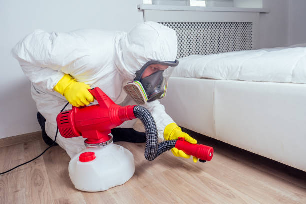 Best Best Pest Control Companies  in Allen Park, MI