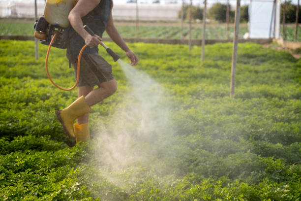 Best Affordable Pest Control Services  in Allen Park, MI