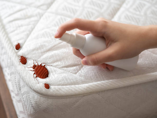 Best Pest Inspection Near Me  in Allen Park, MI
