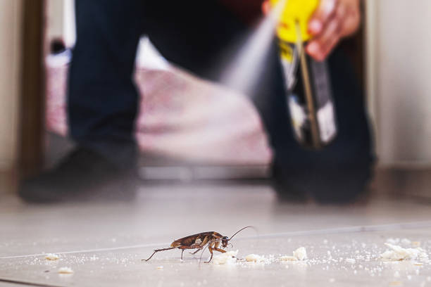 Reliable Allen Park, MI Pest Control Solutions