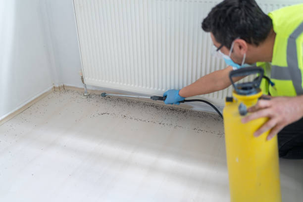 Best Pest Removal Services  in Allen Park, MI
