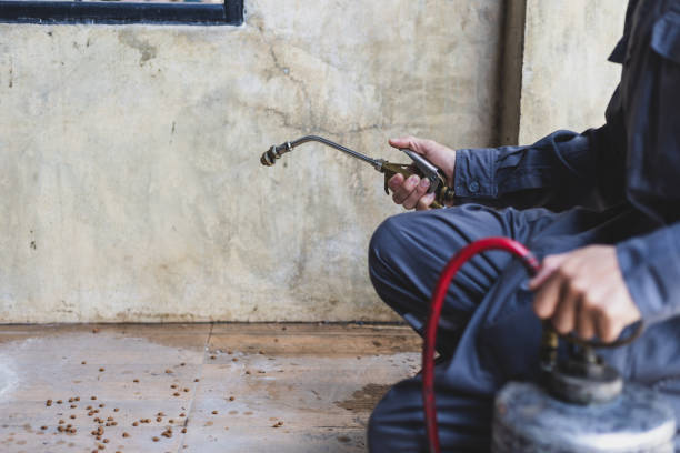 Best Commercial Pest Control Services  in Allen Park, MI